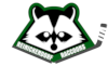 Reinickendorf Raccoons